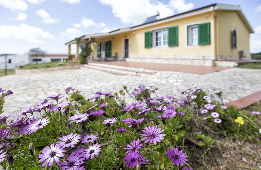 Villa Raimonda Putifigari Esterno foto